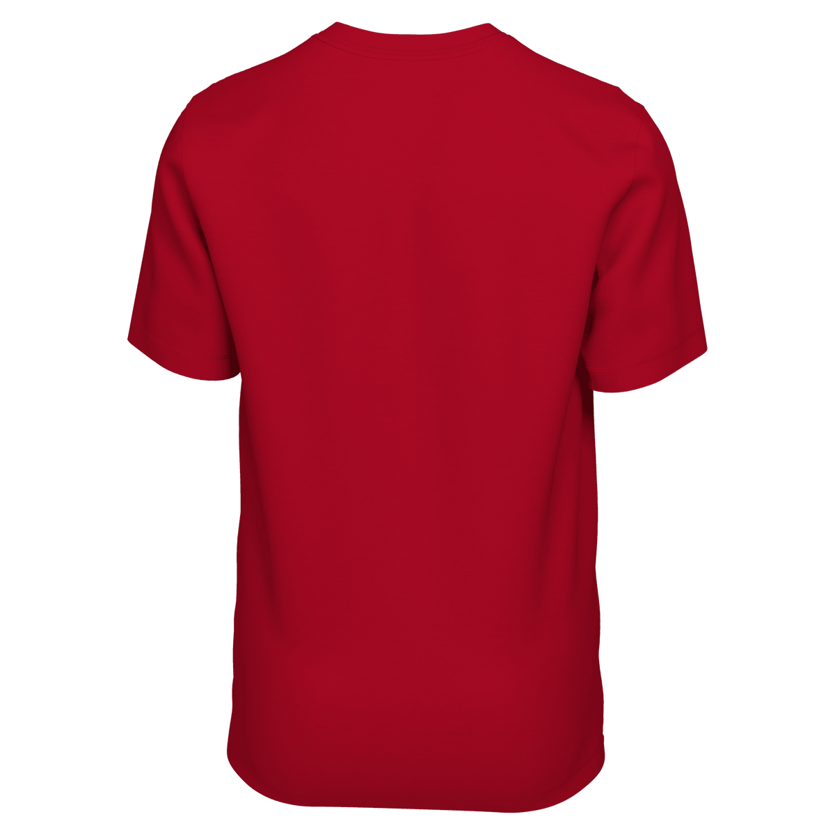 USA Only Dogs Tee