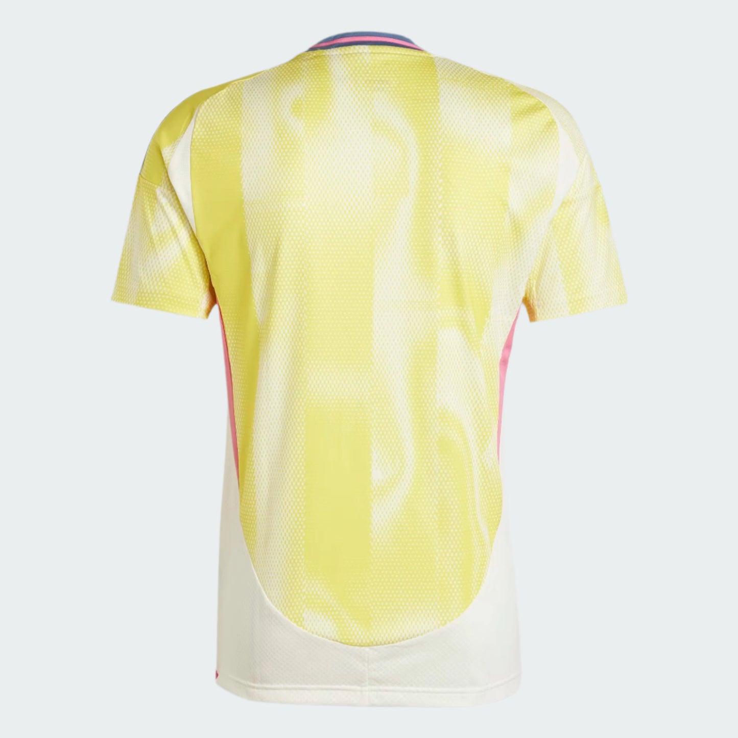 Juventus 2024/25 Away Jersey