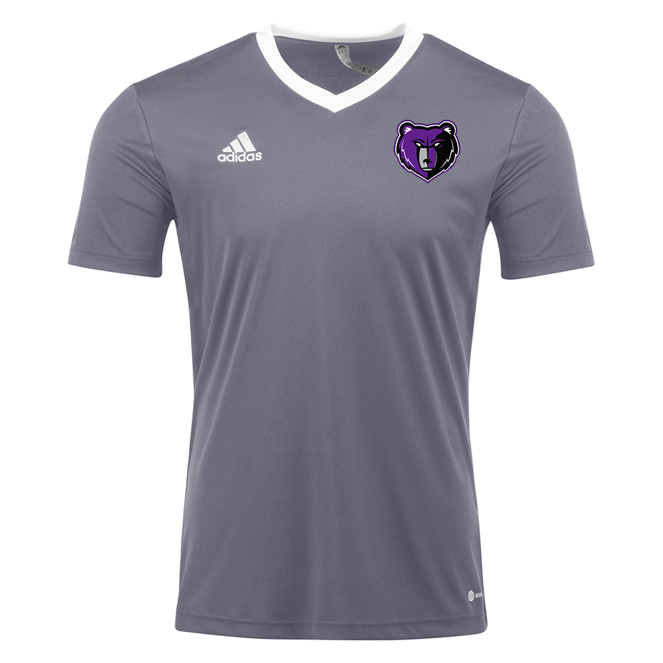 adidas entrada shirt