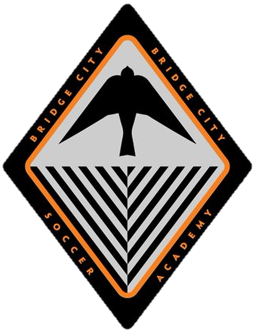 BRIDGE CITY SOCCER ACADEMY ['05-'09 GA]