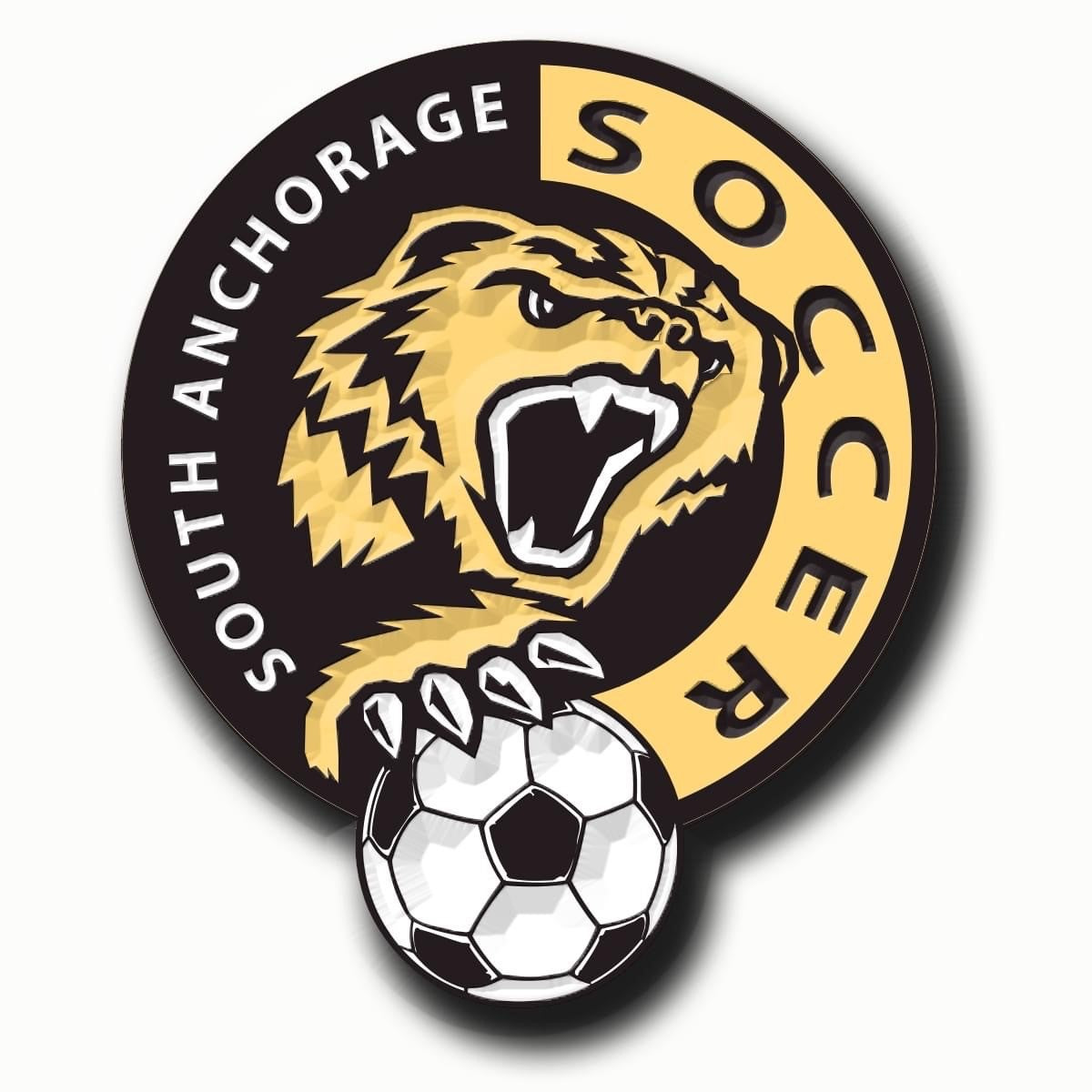 SOUTH ANCHORAGE HIGH SCHOOL