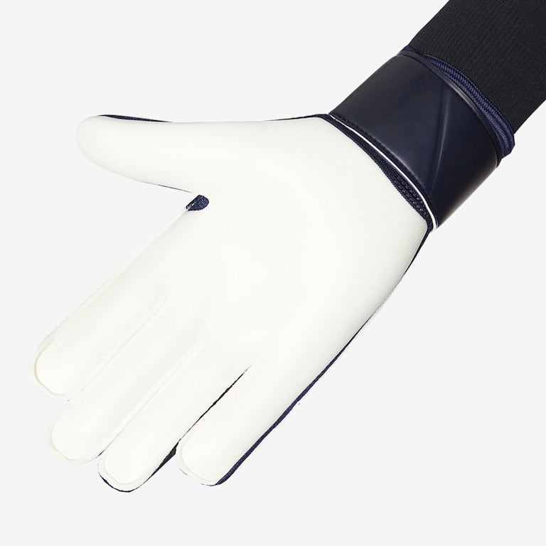 Nike Match GK Gloves [Blue/White]