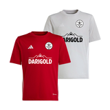 Eastside Timbers adidas Tabela 23 ECNL RL Game Jersey [Youth]