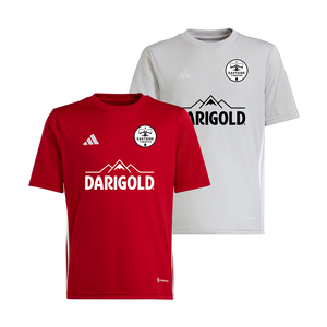 Eastside Timbers adidas Tabela 23 ECNL RL Game Jersey [Youth]