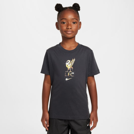 Youth Liverpool Crest Tee