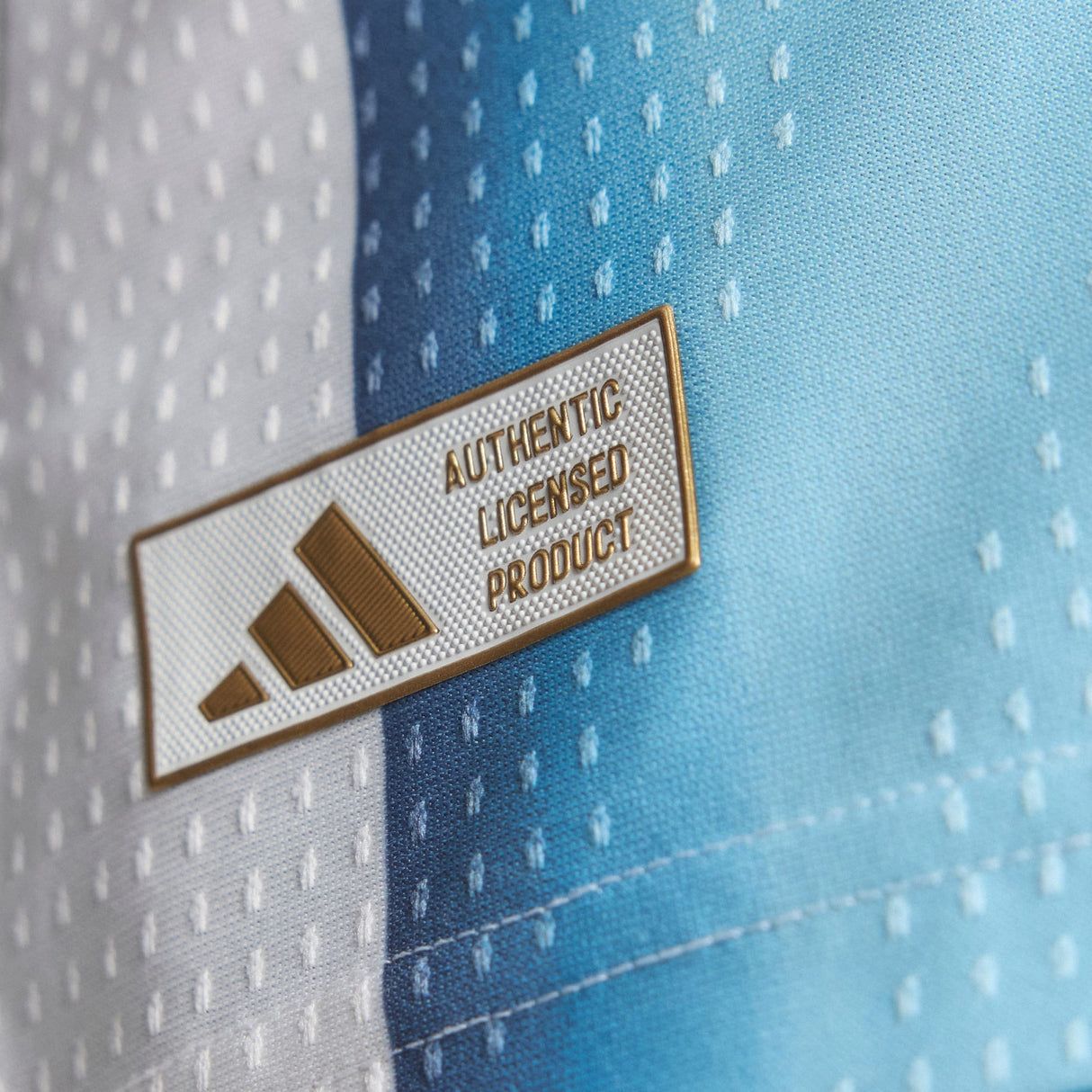 Argentina 2026 Authentic Home