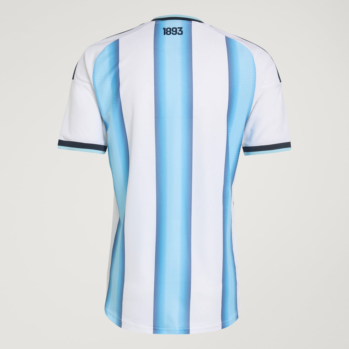 Argentina 2026 Authentic Home