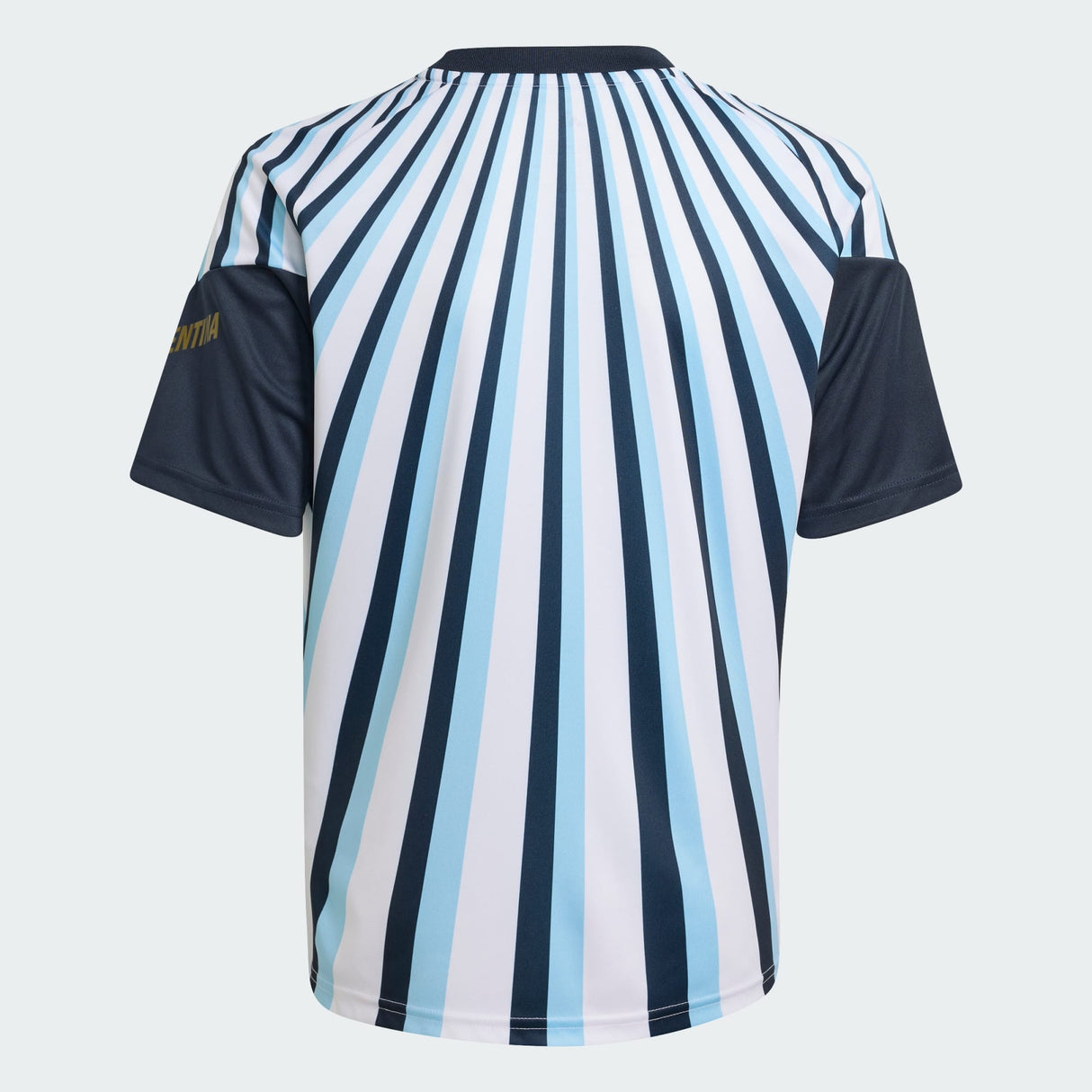 Youth Argentina Pre Match Jersey