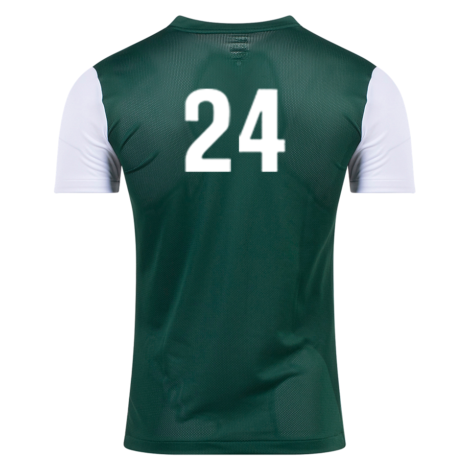 Chemeketa CC Nike Tiempo Premier II Jersey [Men's] - Green / White