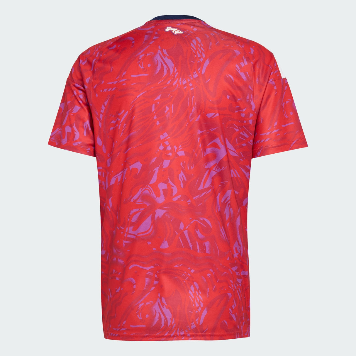 Costa Rica 2026 Home Jersey