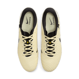 Nike Tiempo Legend 10 Academy FG/MG