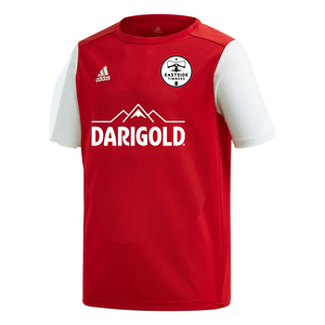 Eastside Timbers Rec Jersey [Youth]