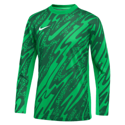 Nike Gardien V GK Jersey [Youth]
