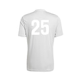 Coras FC Grey Adidas Campeon 25 Jersey [Men's]