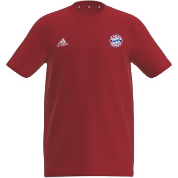 Youth FC Bayern Graphic Tee