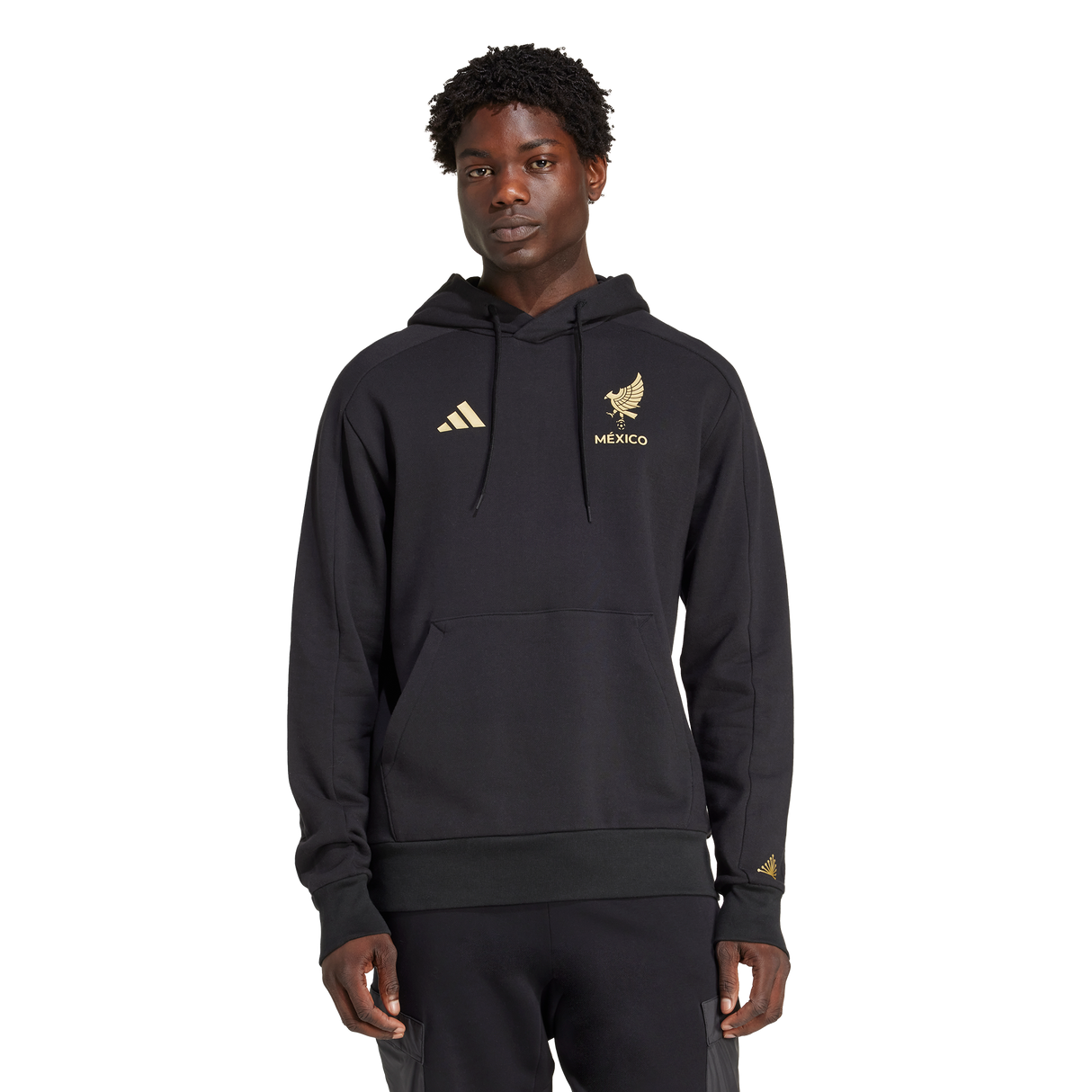 Mexico DNA Hoodie [Black/Gold]