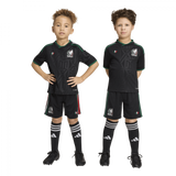 Mini Mexico 2026 Third Kit