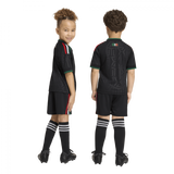 Mini Mexico 2026 Third Kit