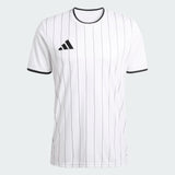 Entrada 26 Graphic Jersey [Men's]