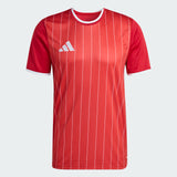 Entrada 26 Graphic Jersey [Men's]