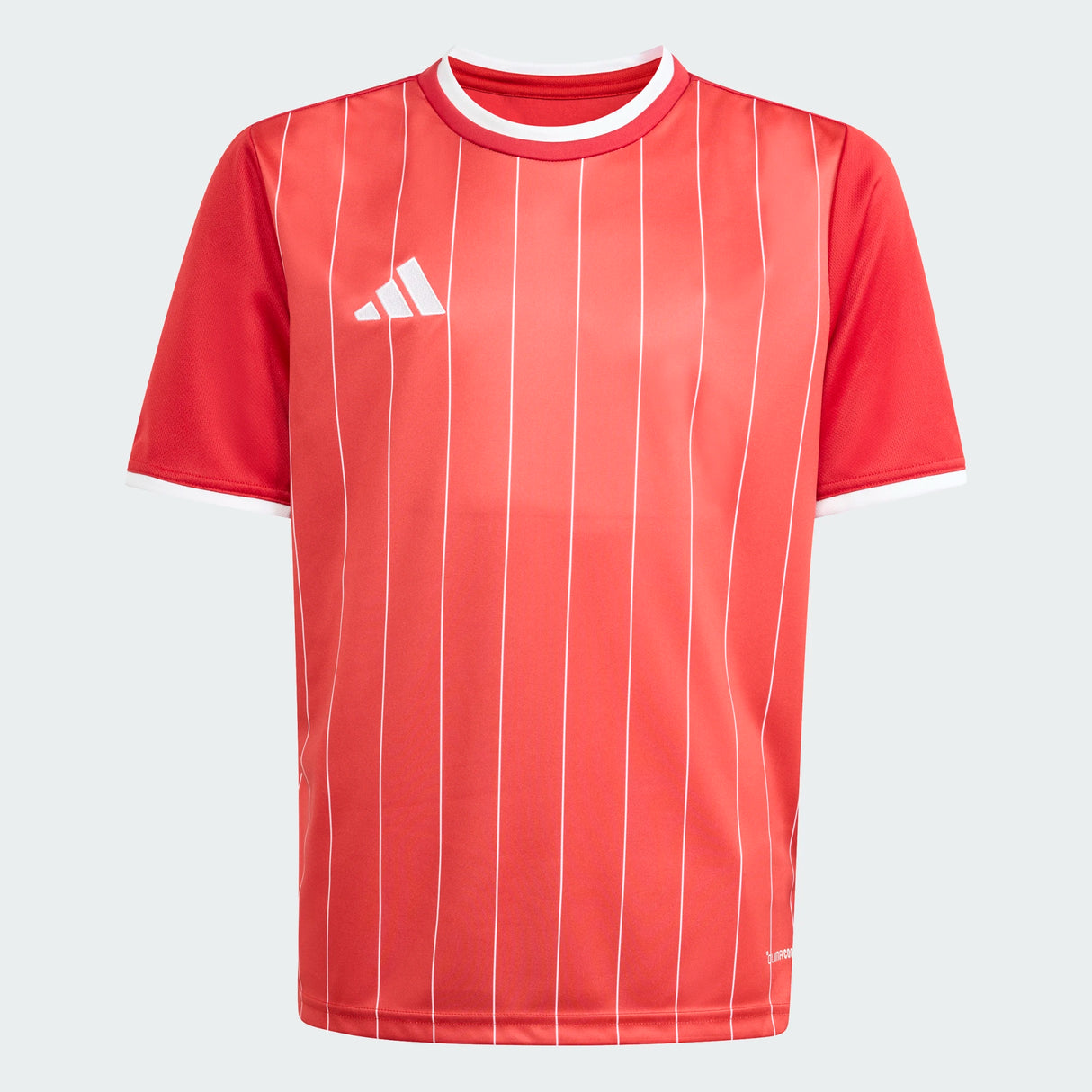 Entrada 26 Graphic Jersey [Youth]