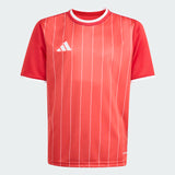 Entrada 26 Graphic Jersey [Youth]