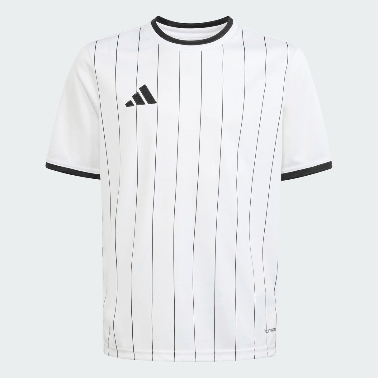 Entrada 26 Graphic Jersey [Youth]