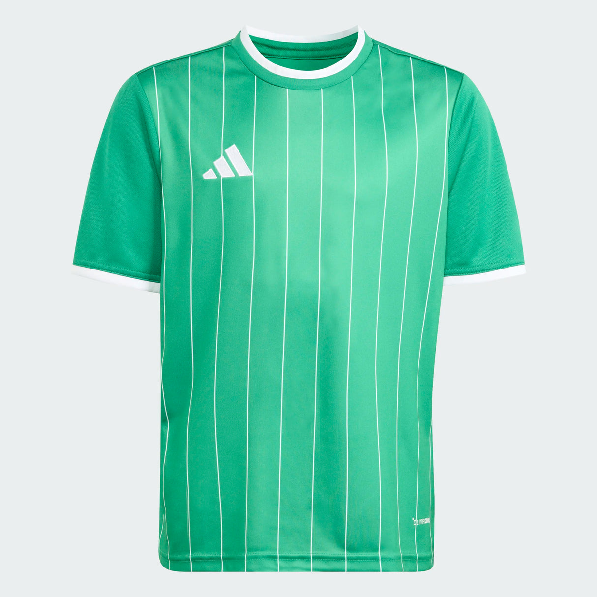 Entrada 26 Graphic Jersey [Youth]