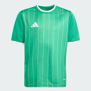 Entrada 26 Graphic Jersey [Youth]