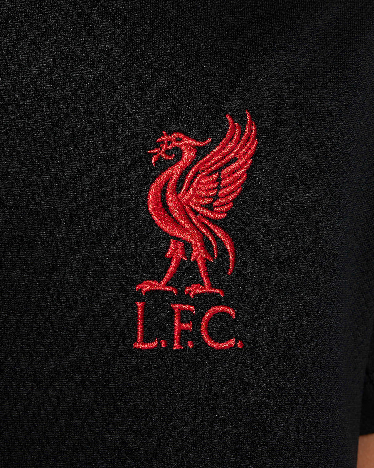 Youth Liverpool FC Dri-Fit Strike Top [Black]