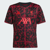 Youth Liverpool FC Pre-Shirt Top