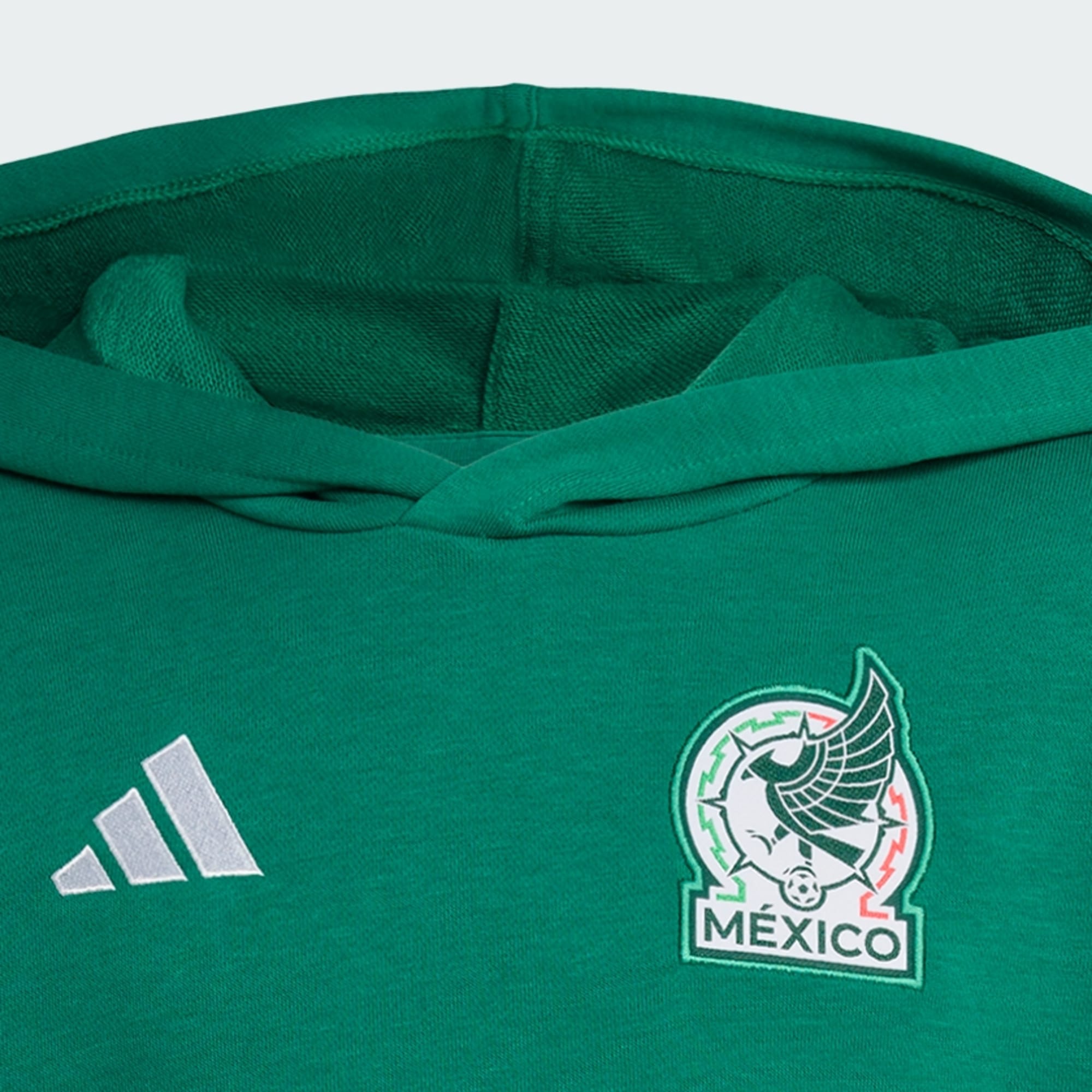 Mexico DNA Hoodie [Youth]