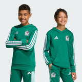 Mexico DNA Hoodie [Youth]
