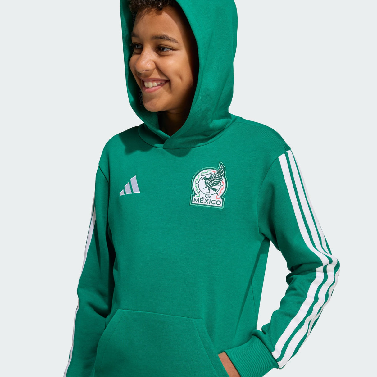 Mexico DNA Hoodie [Youth]