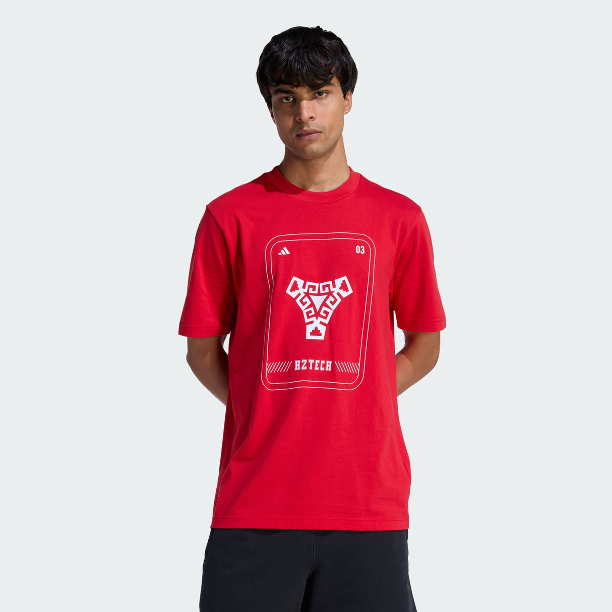 Mexico DNA T-shirt