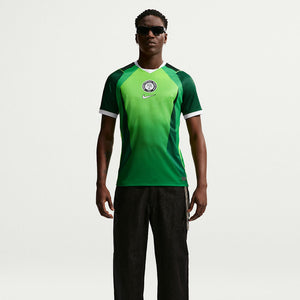 Nigeria 2026 Stadium Home