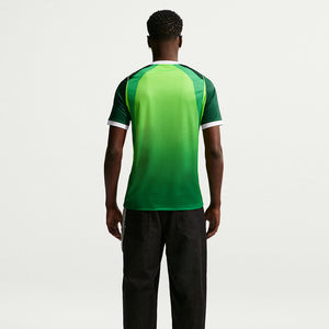 Nigeria 2026 Stadium Home