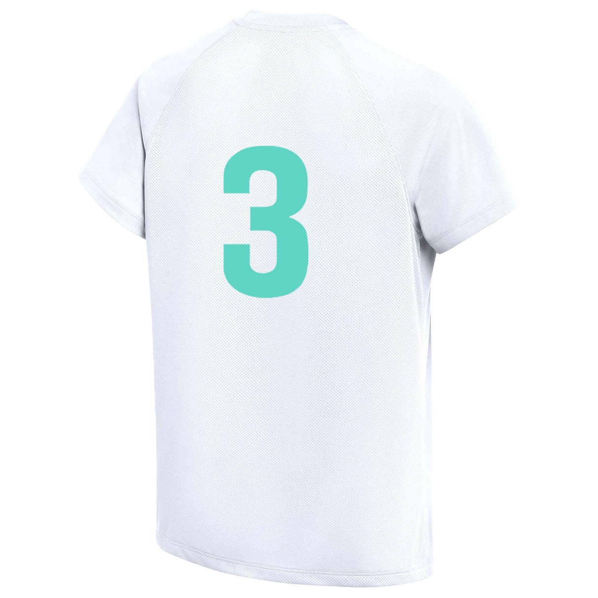 Pelada Girls | Nike Park VIII Match Jersey