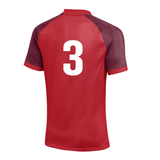 Pelada Boys | Nike Trophy VI Match Jersey [Youth]