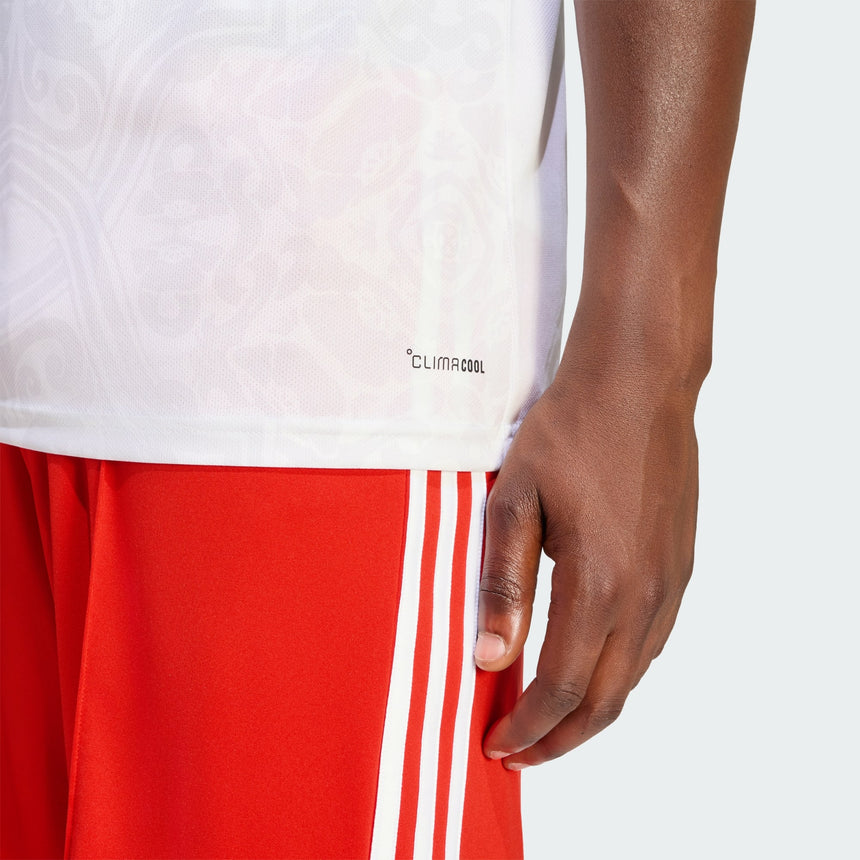 S.L. Benfica 2026/27 Away