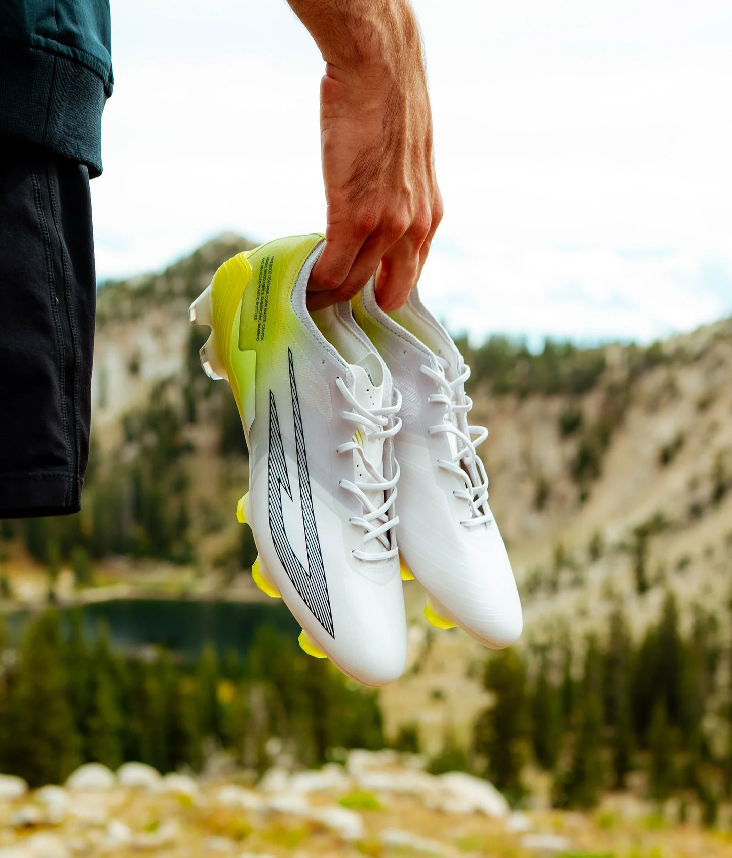 Scudetta FG [Stone/Volt]