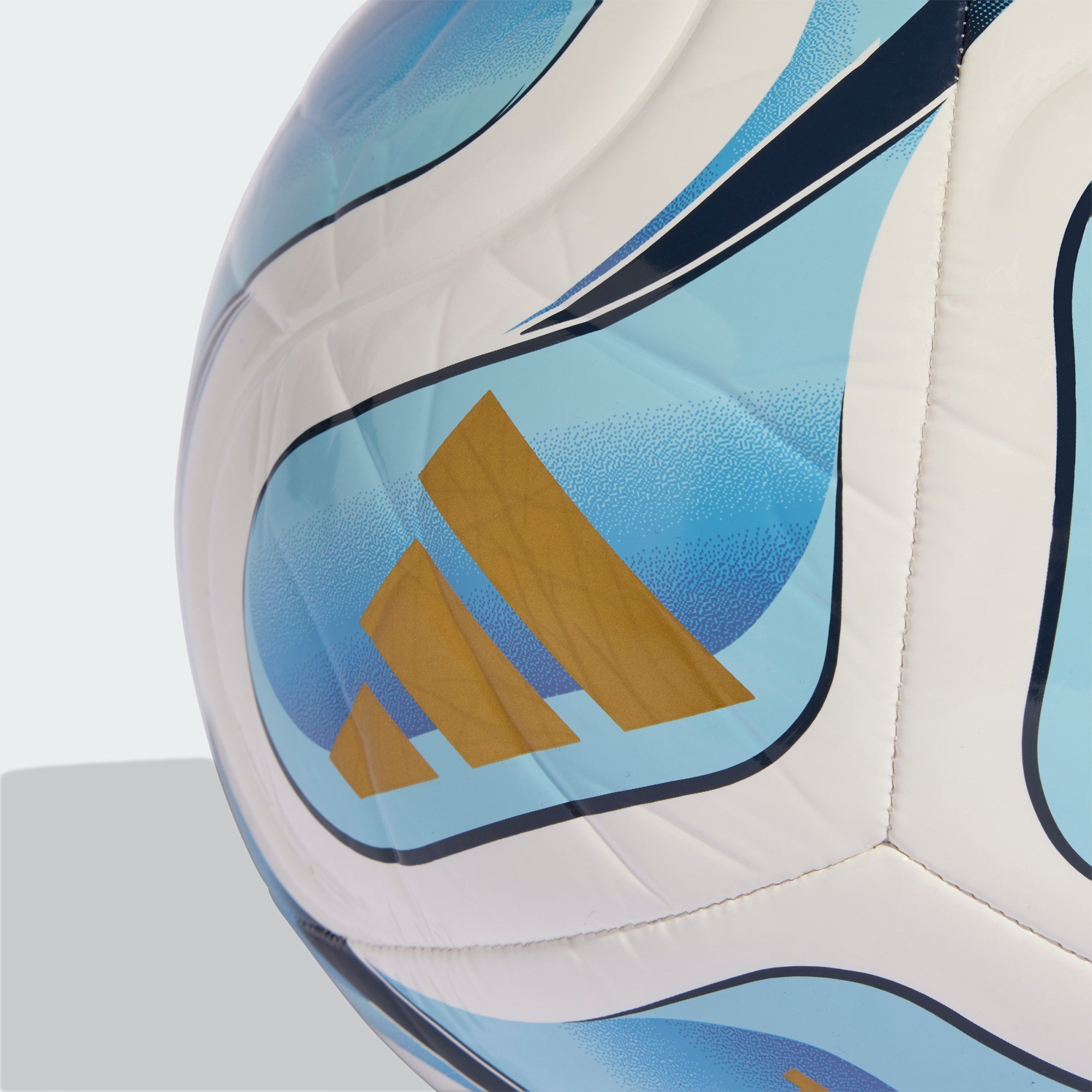 Argentina Club Ball