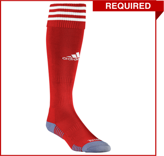 Lincoln Youth Soccer Copa Sock