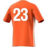Silver Falls SC Jersey [Youth]