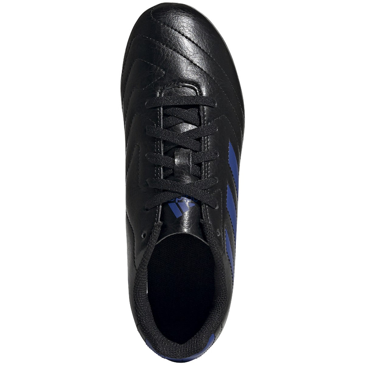 Junior Goletto VIII FG [Black/Blue]